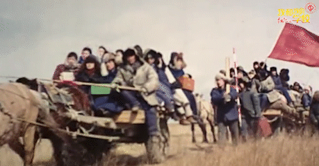 998594c60cae4a28a9009649a5737043.gif 998594c60cae4a28a9009649a5737043.gif