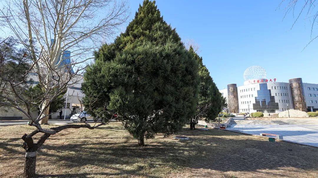 d64df84eadde4cc3bba484cd758e2c6f.jpg d64df84eadde4cc3bba484cd758e2c6f.jpg